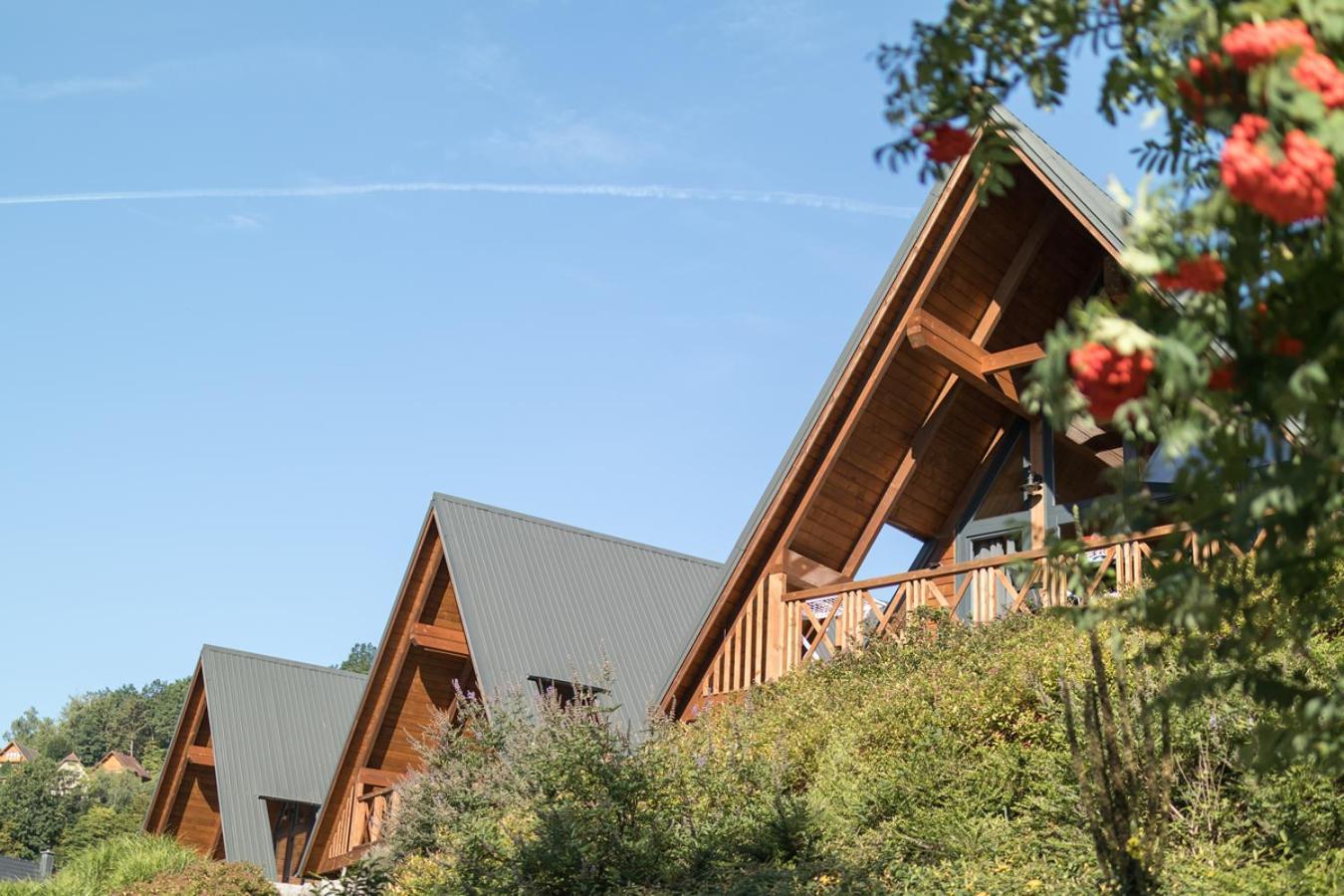 Chalets Na'Thur Lodge Fellering المظهر الخارجي الصورة